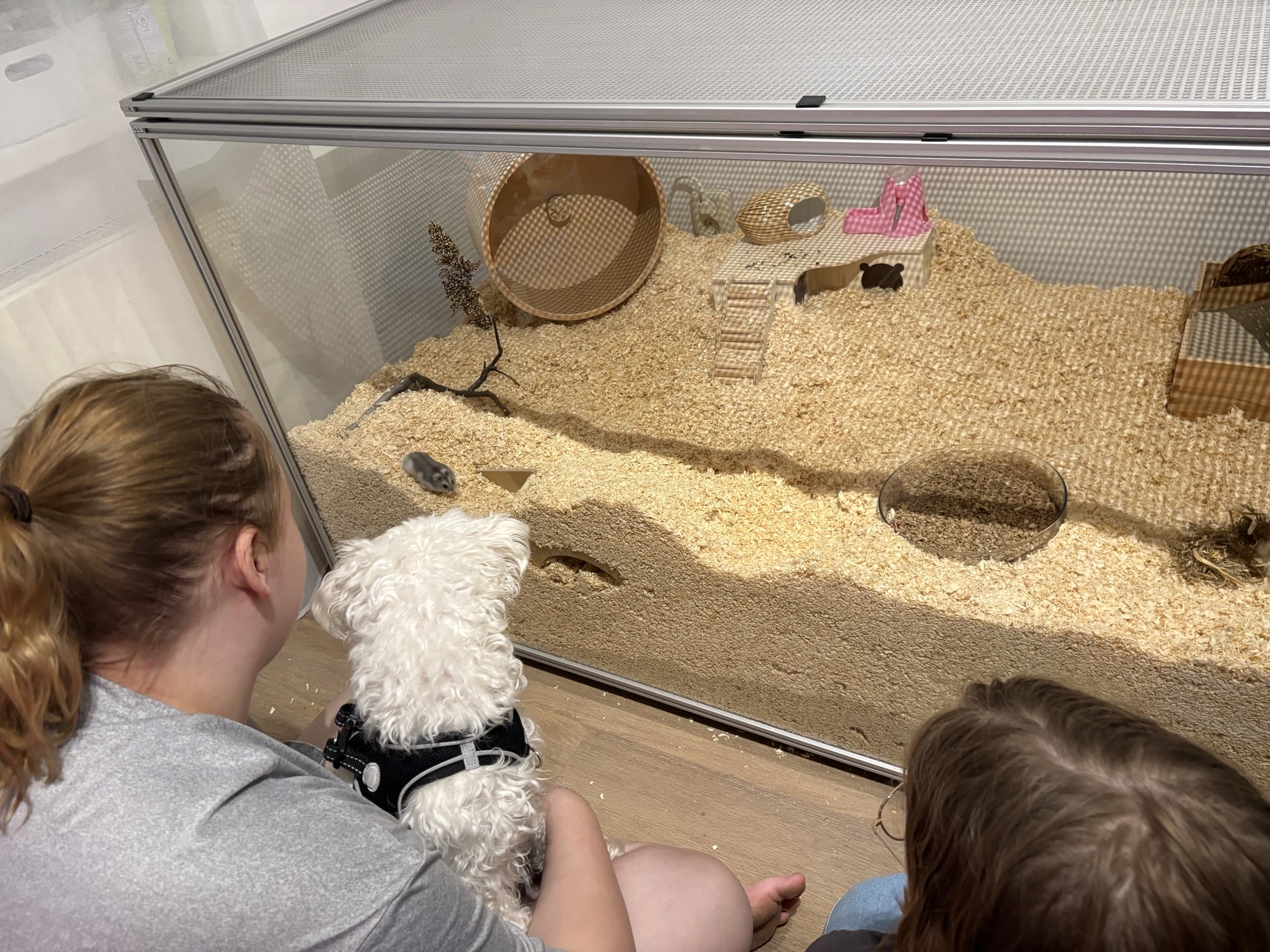 Fertiger DIY Hamsterkäfig aus Aluprofilen